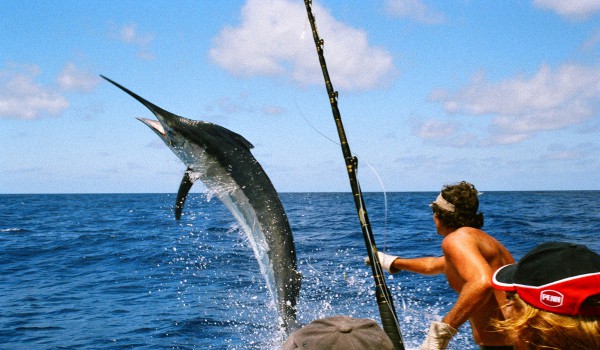 Рыбалка-на-Маврикии