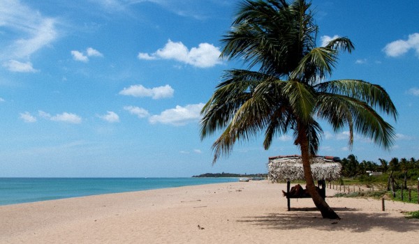 Лучшие пляжи Шри-Ланки по отзывам туристов