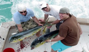 Рыбалка в Доминикане - Все Нюансы