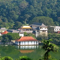 На Шри-Ланку Дикарем — Плюсы и Минусы