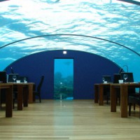 Лучшие Курорты Фиджи — Мнения Туристов