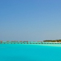 Мальдивы или Маврикий — Куда Лучше Поехать