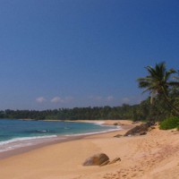 Отдых на Шри-Ланке в Октябре — Плюсы и Минусы