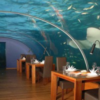 Подводный Ресторан на Мальдивах — Особенности