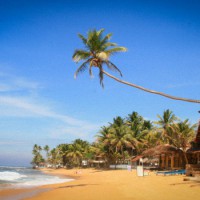 Шри-Ланка или Гоа — Куда Лучше Поехать