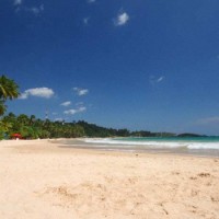 Лучшие Пляжи Шри-Ланки по Отзывам Туристов