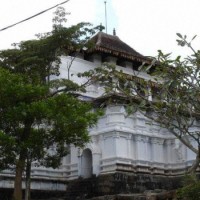 Экскурсии на Шри-Ланке Отзывы Туристов