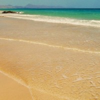 Канарские Острова Горящие Туры — Анализ Предложений