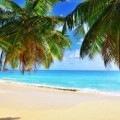 Сейшельские Острова, Когда Лучше Ехать – Советы Туристов