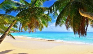 Сейшельские Острова, Когда Лучше Ехать - Советы Туристов