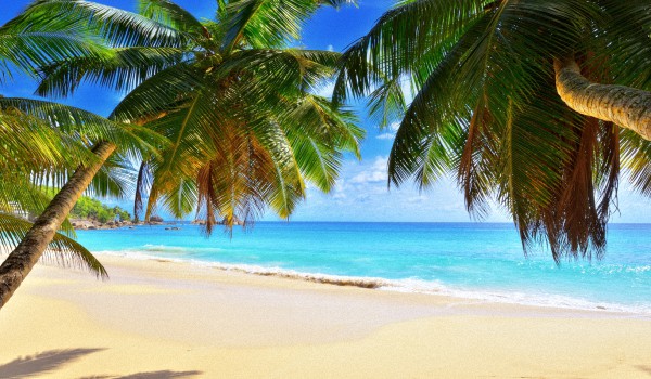 Сейшельские-острова-когда-лучше-ехать
