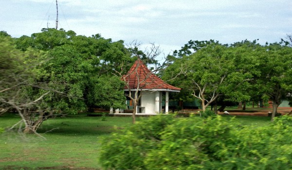 Национальные-парки-Шри-Ланки-2