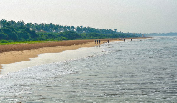 Где лучше отдыхать в Шри-Ланке