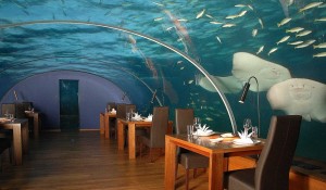 Подводный Ресторан на Мальдивах - Особенности
