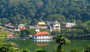 На Шри-Ланку Дикарем - Плюсы и Минусы