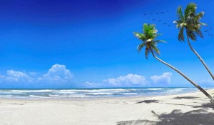 Багамские Острова Отзывы Туристов об Отдыхе