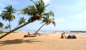 Южное Побережье Шри-Ланки - Особенности Отдыха