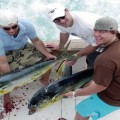 Рыбалка в Доминикане — Все Нюансы